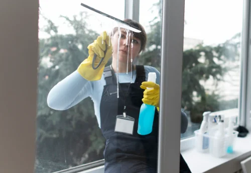 Nettoyage de vitres intérieures et extérieures à Serville